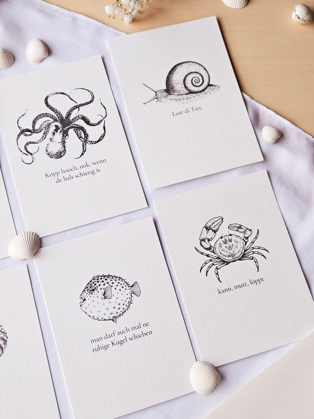 6er Set plattdeutsche maritime Kartenreihe