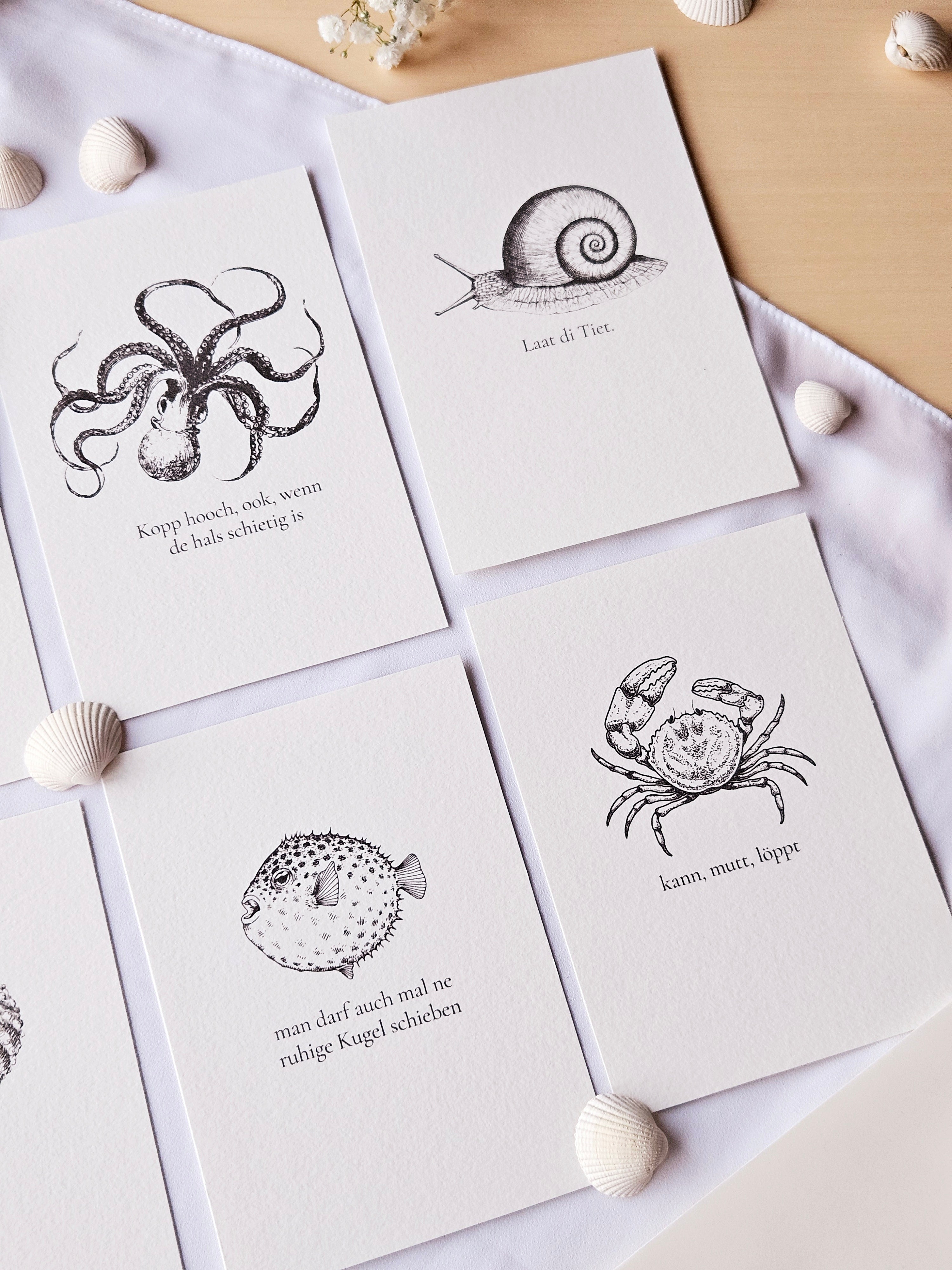 6er Set plattdeutsche maritime Kartenreihe