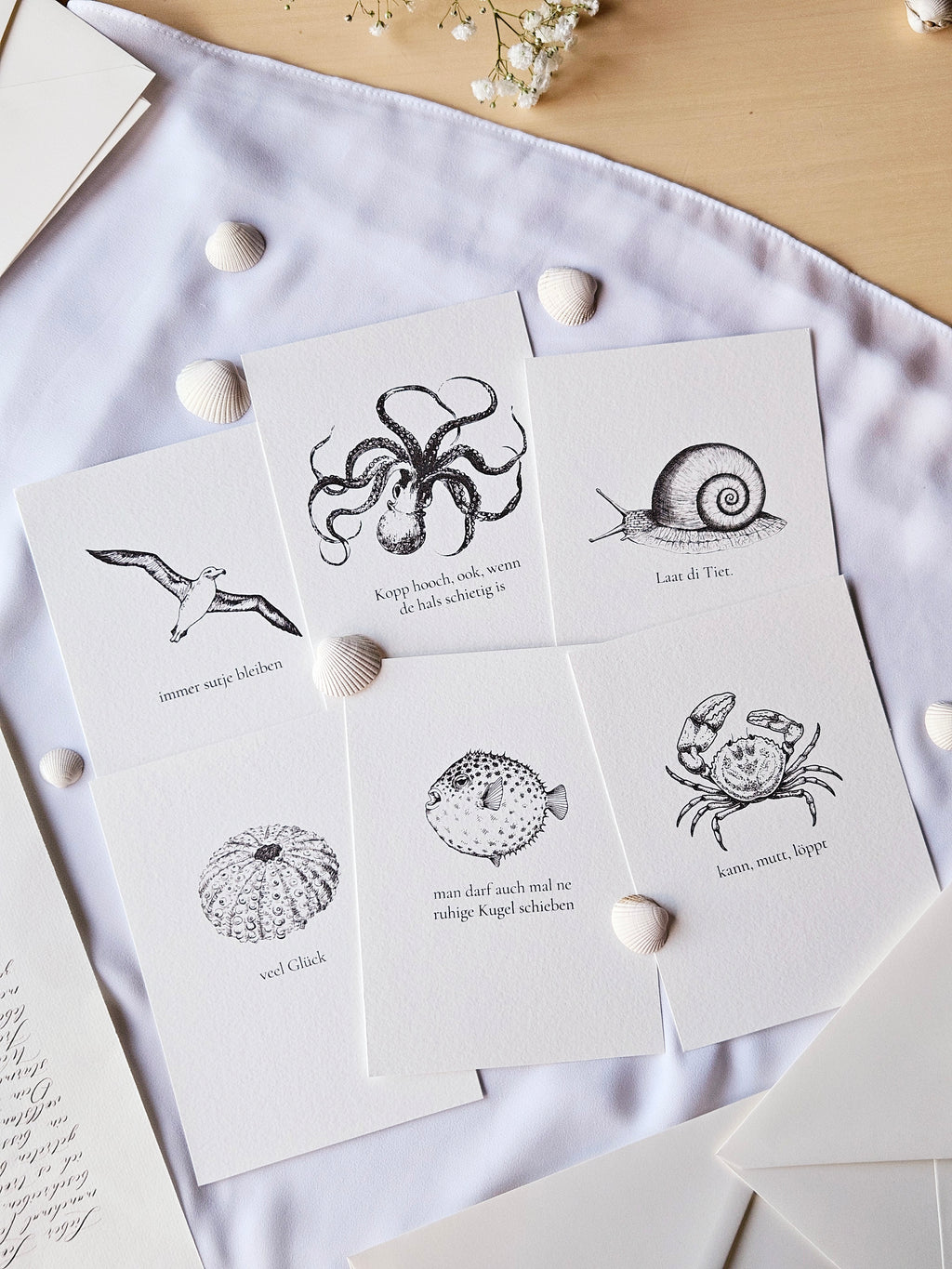 6er Set plattdeutsche maritime Kartenreihe