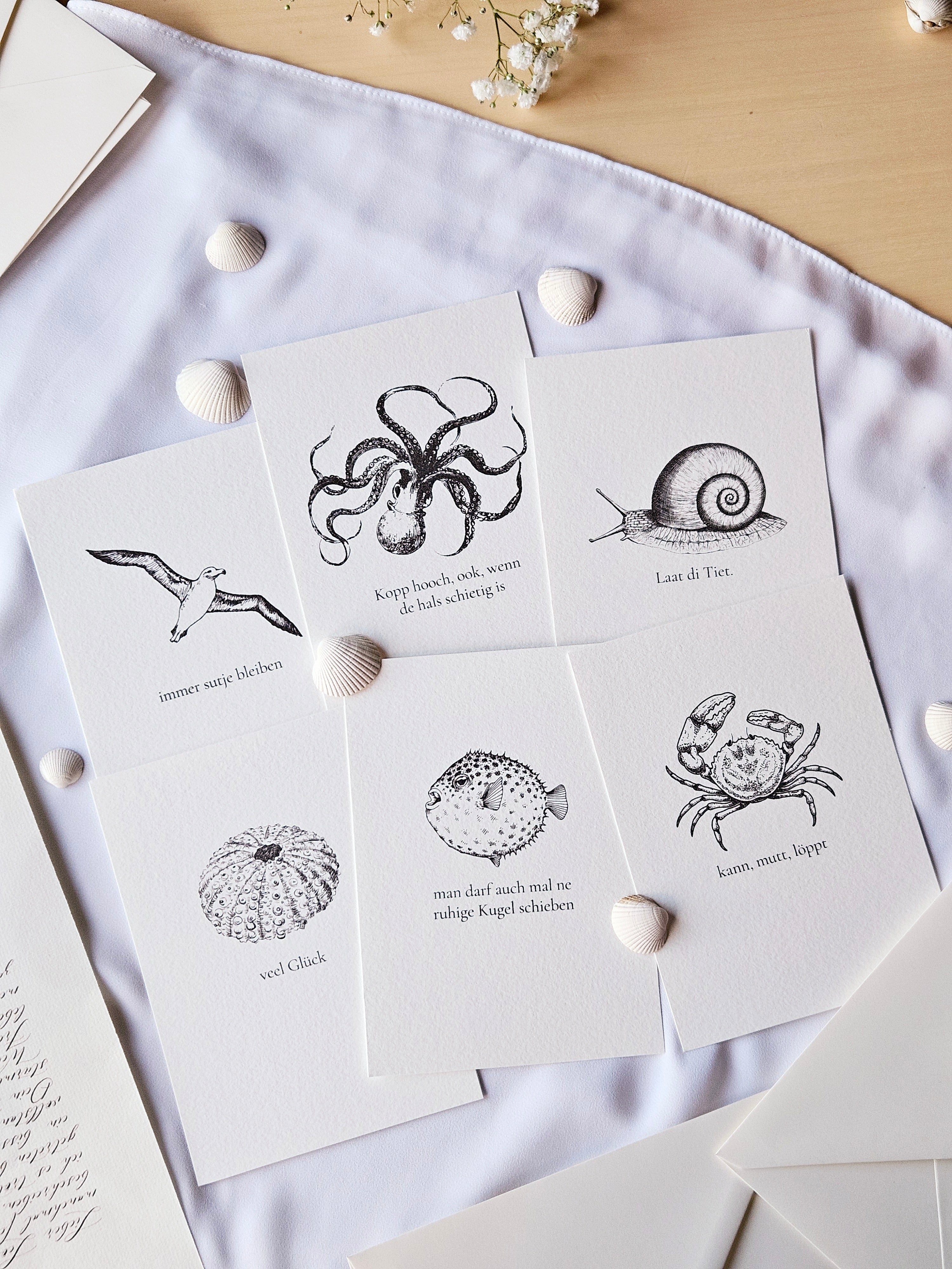 6er Set plattdeutsche maritime Kartenreihe