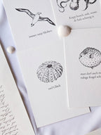 6er Set plattdeutsche maritime Kartenreihe