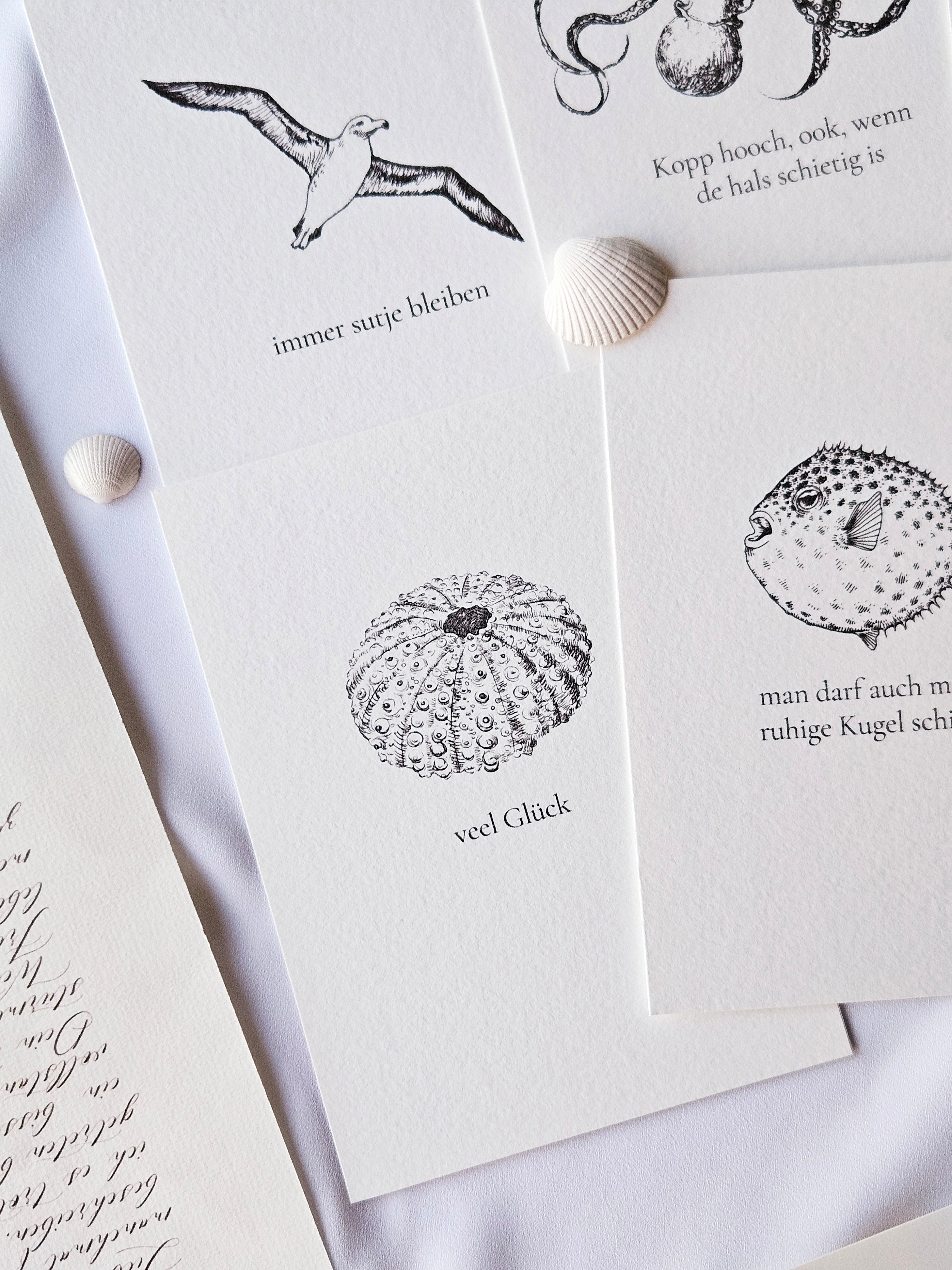 6er Set plattdeutsche maritime Kartenreihe