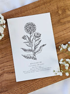 6er Set Kartenreihe Küchenkräuter Herbarium
