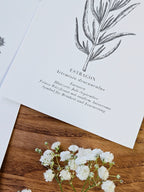 6er Set Kartenreihe Küchenkräuter Herbarium