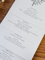 6er Set Kartenreihe Küchenkräuter Herbarium