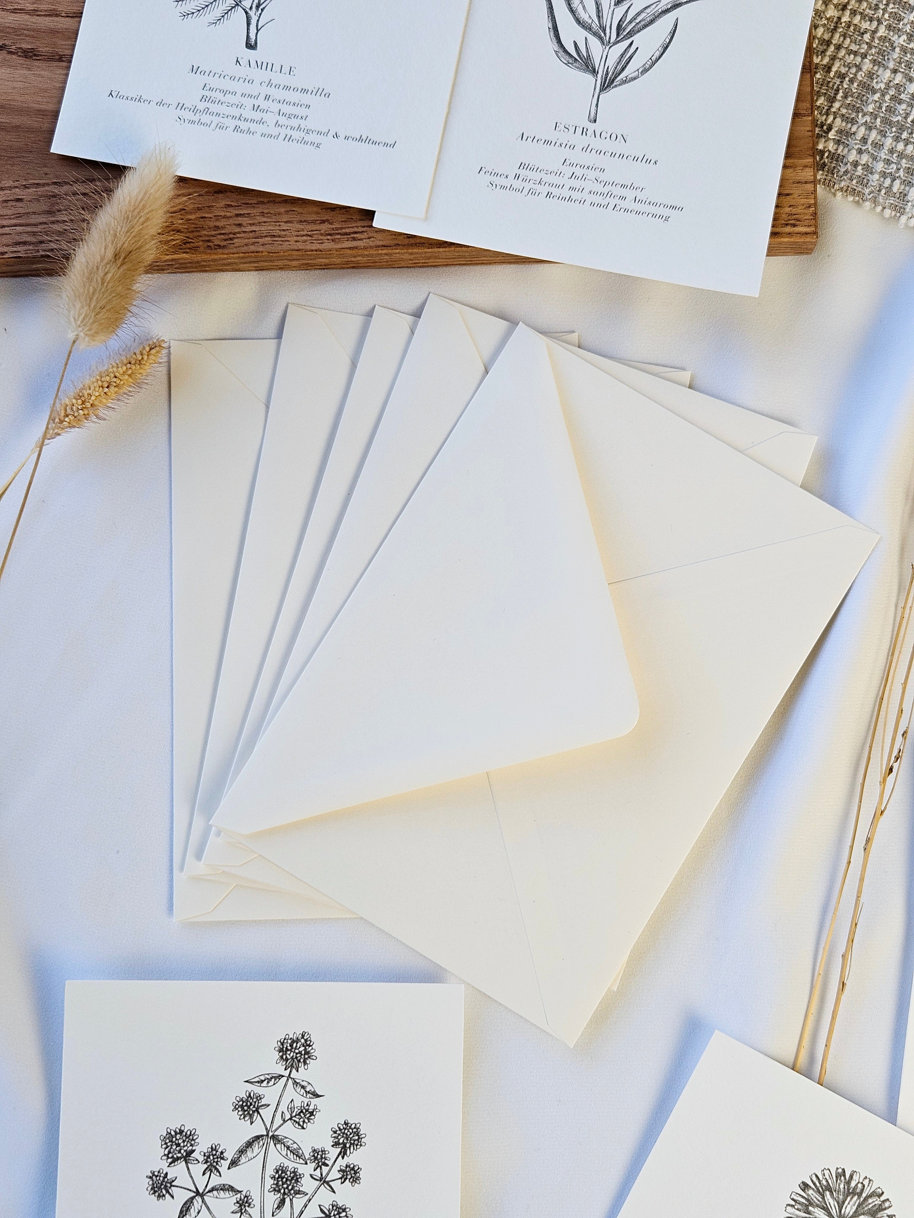 6er Set Kartenreihe Küchenkräuter Herbarium