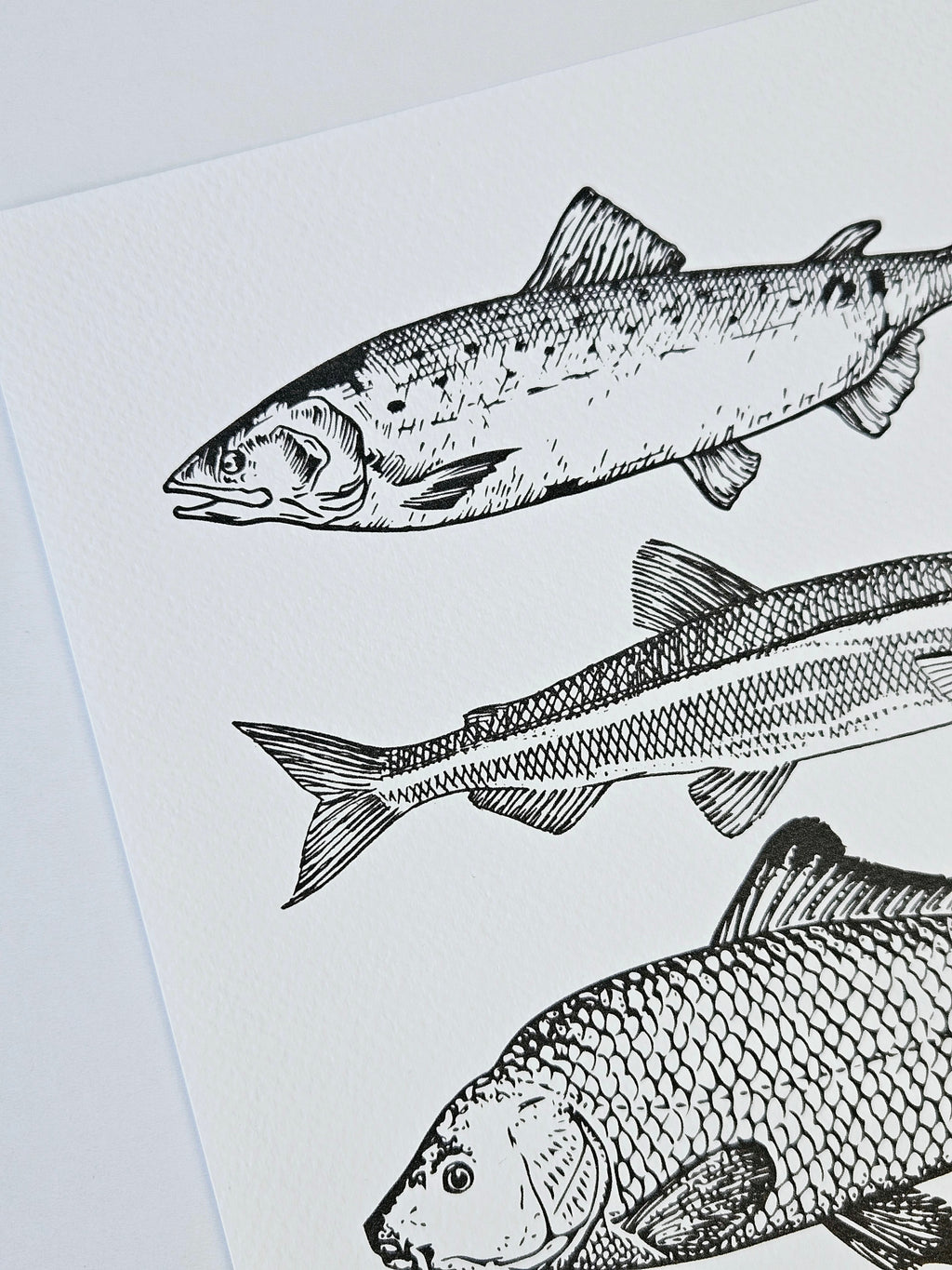 Maritimer Kunstdruck Fische