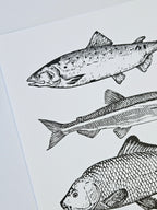 Maritimer Kunstdruck Fische