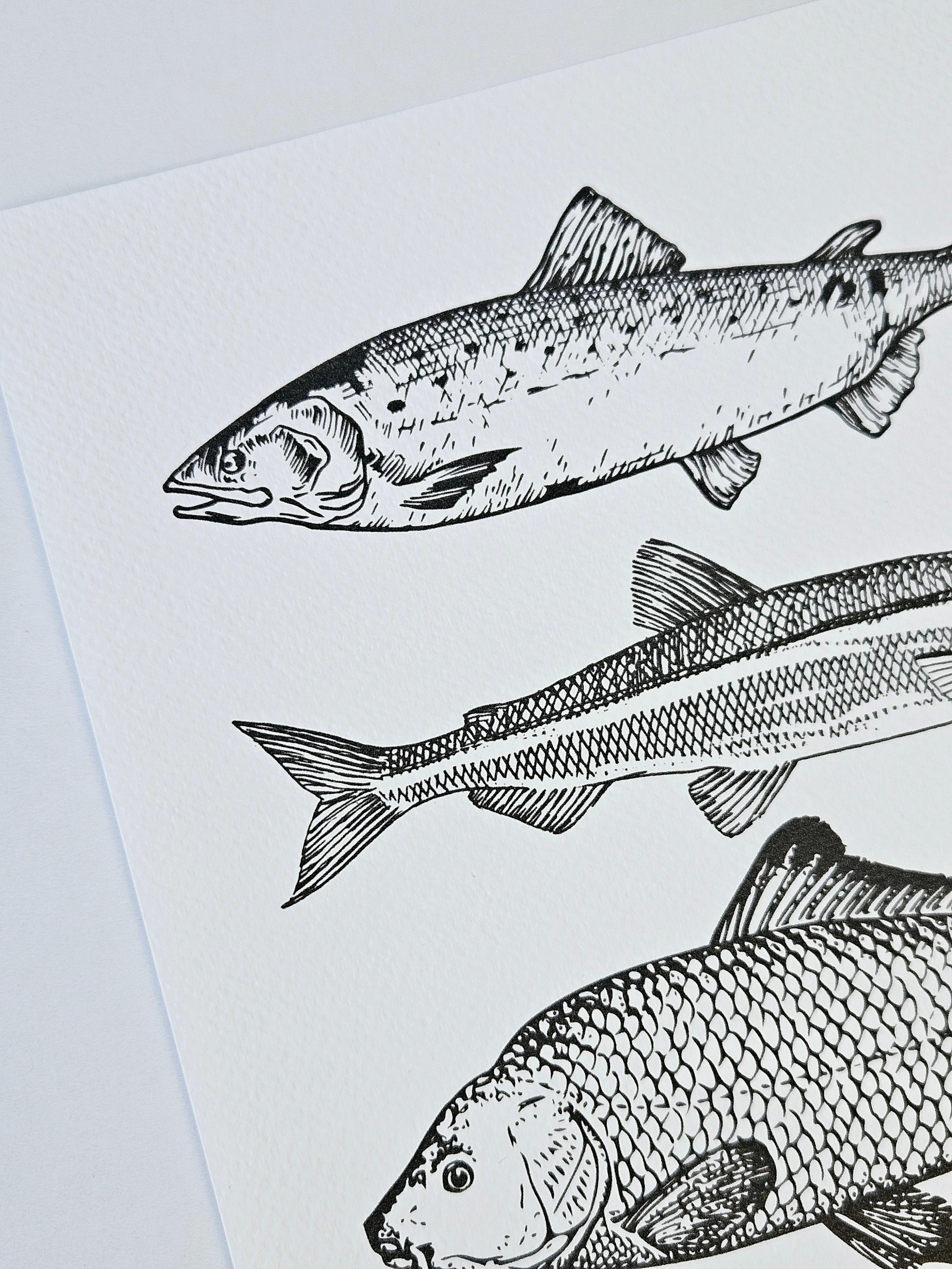 Maritimer Kunstdruck Fische