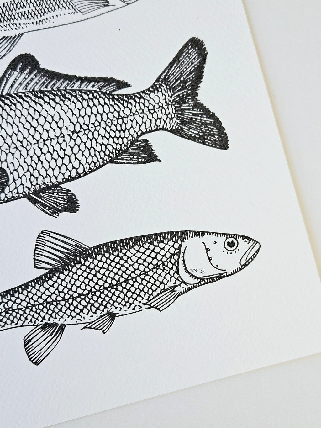 Maritimer Kunstdruck Fische