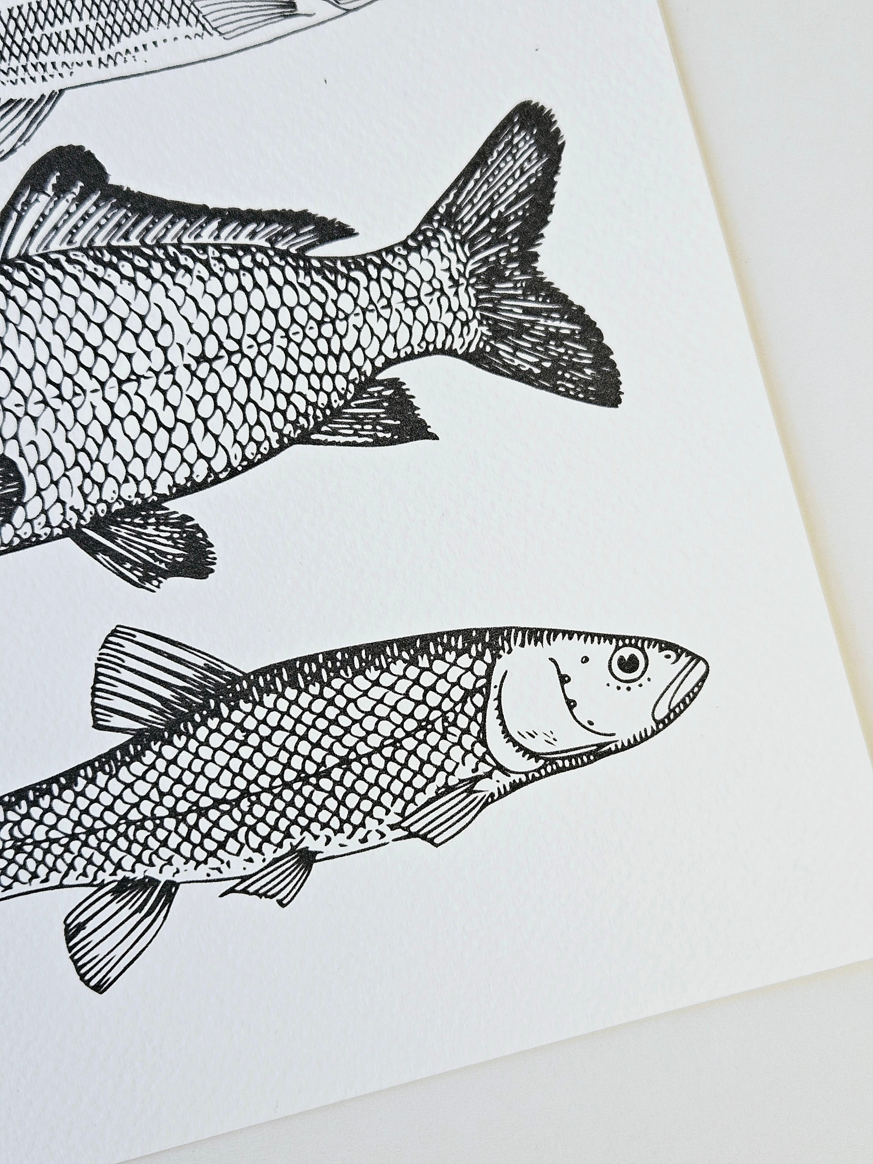 Maritimer Kunstdruck Fische