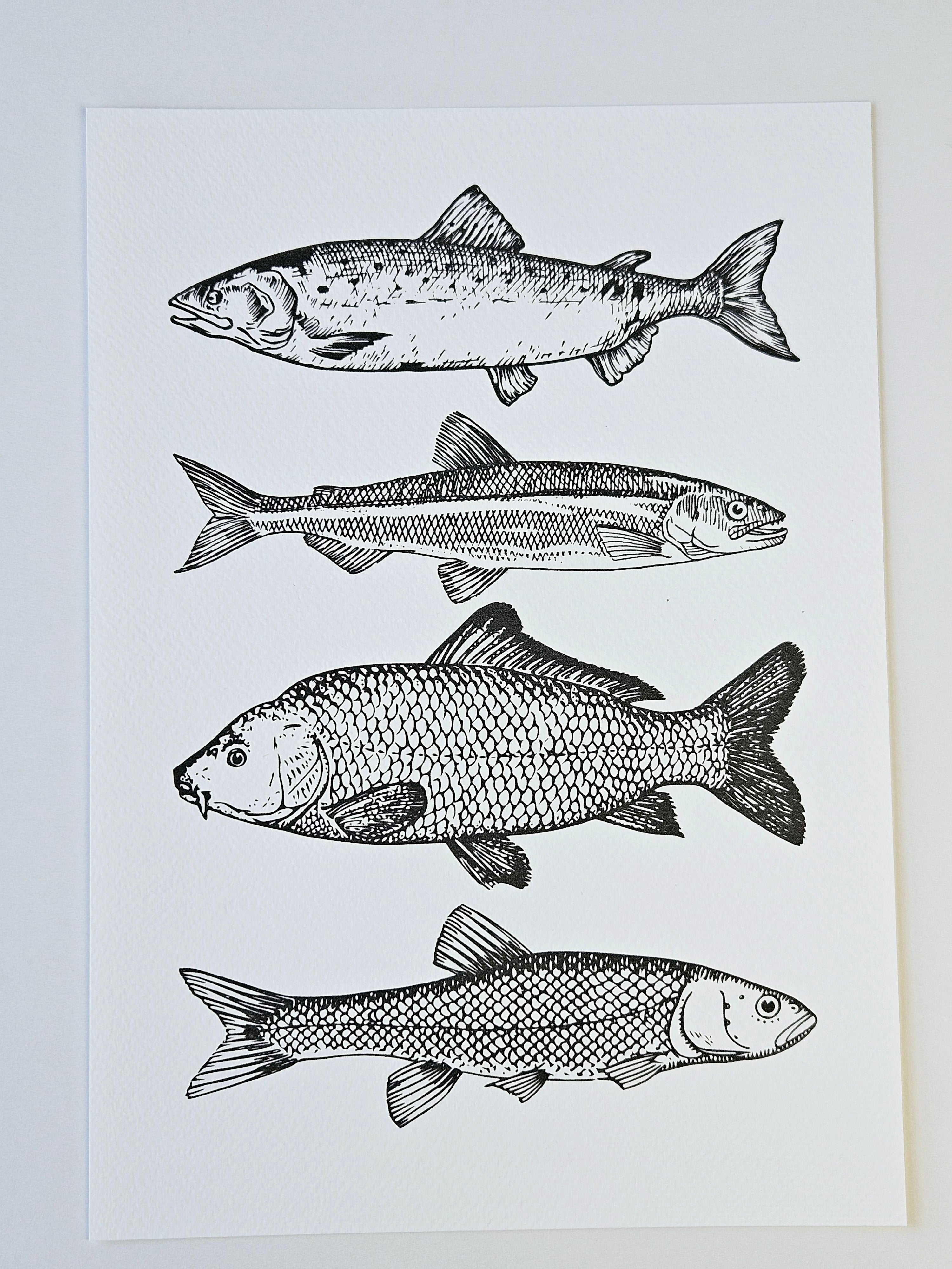 Maritimer Kunstdruck Fische