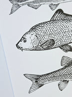 Maritimer Kunstdruck Fische