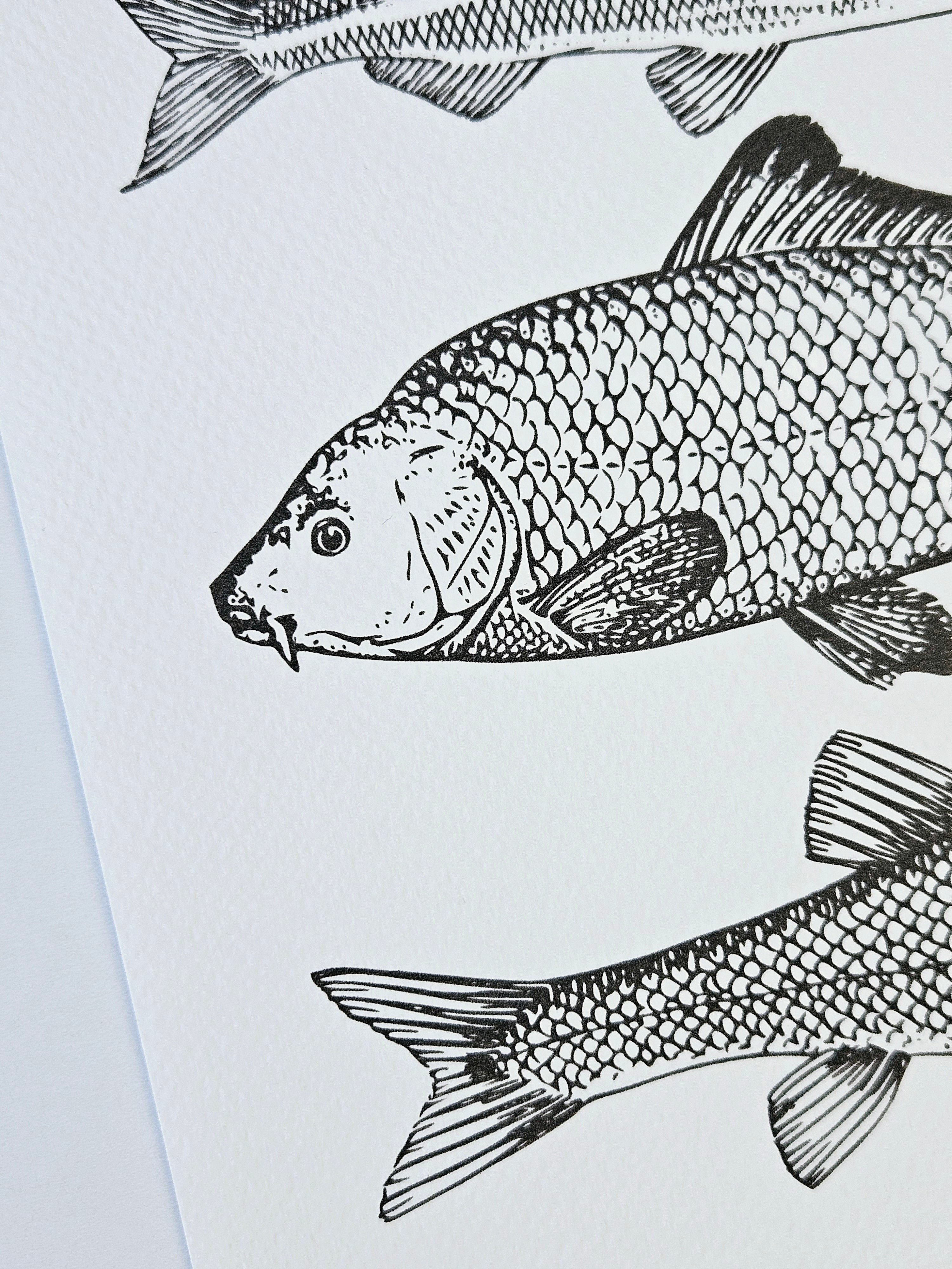 Maritimer Kunstdruck Fische