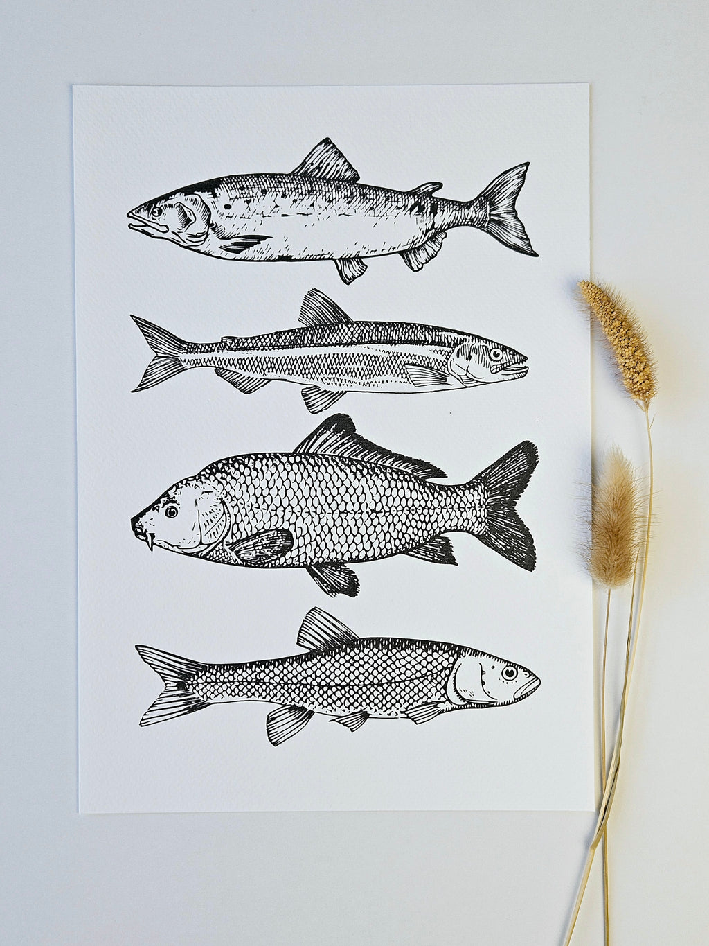 Maritimer Kunstdruck Fische