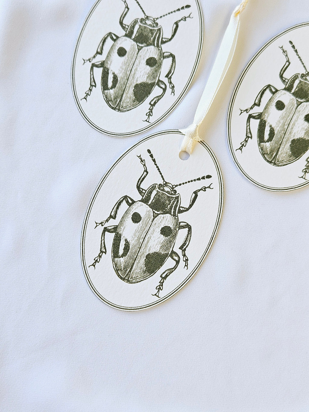 Geschenkanhänger Marienkäfer