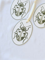 Geschenkanhänger Marienkäfer