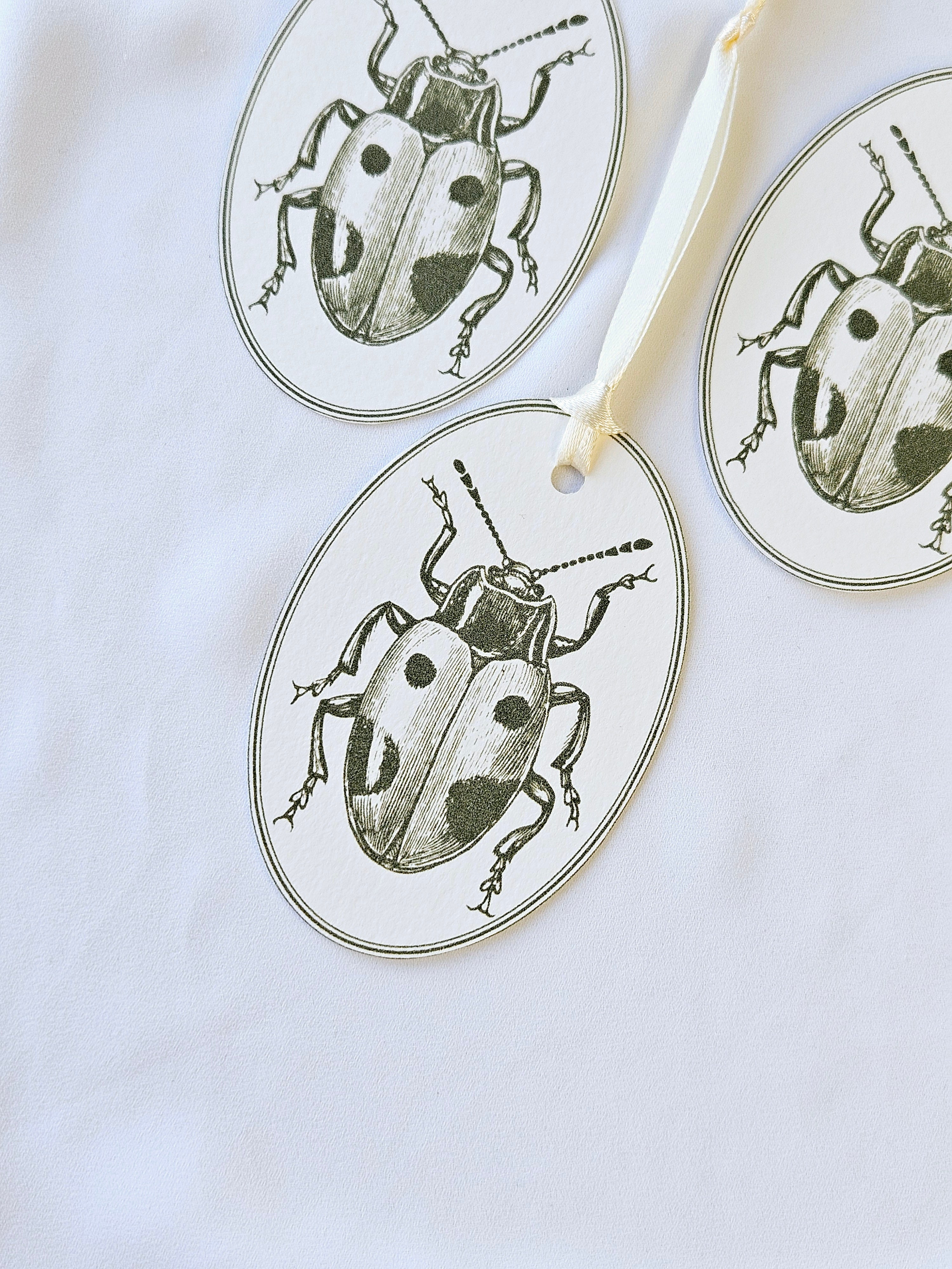 Geschenkanhänger Marienkäfer