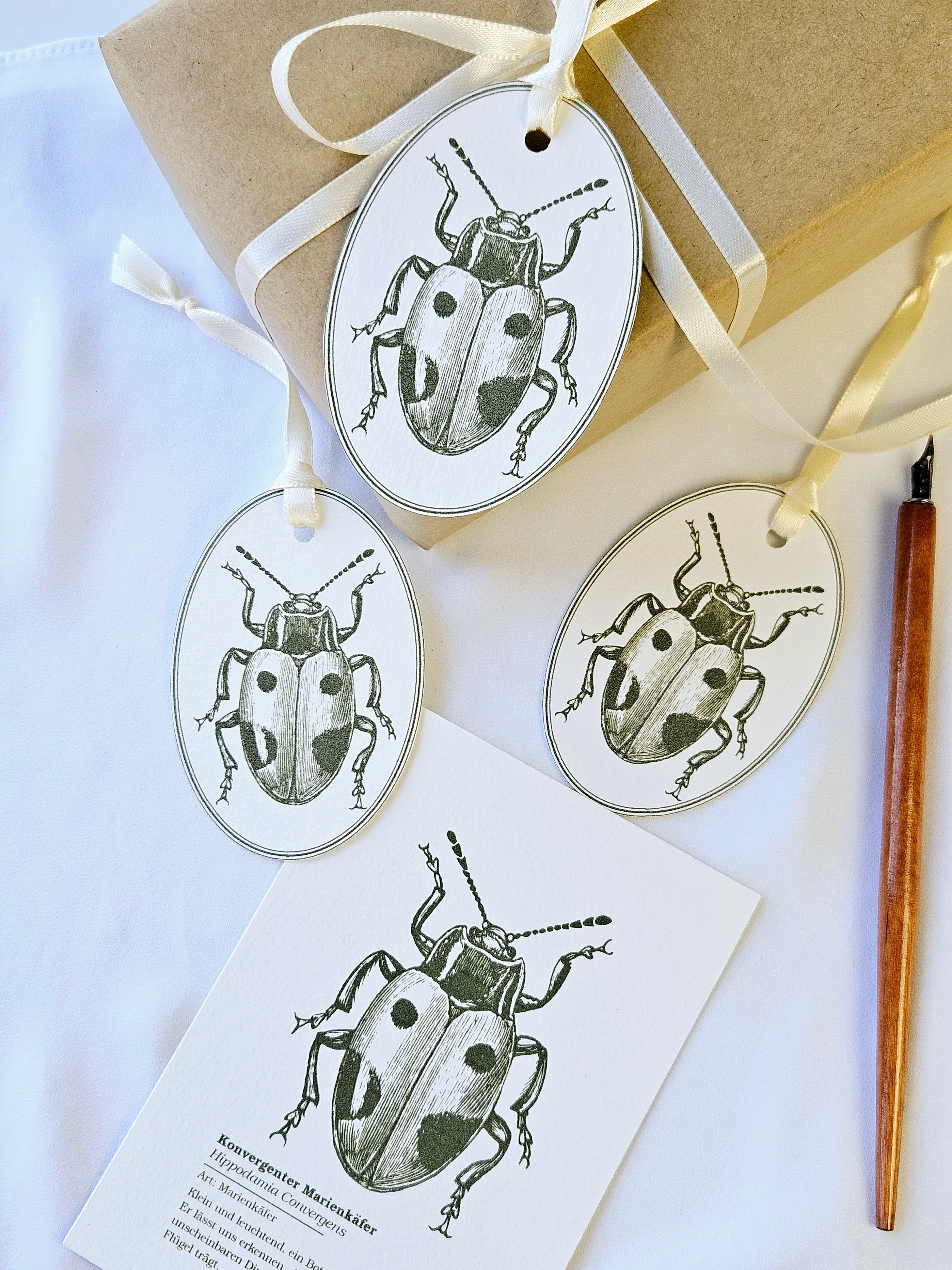 Geschenkanhänger Marienkäfer Olivgrün
