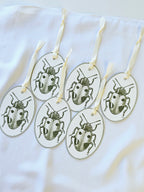 Geschenkanhänger Marienkäfer