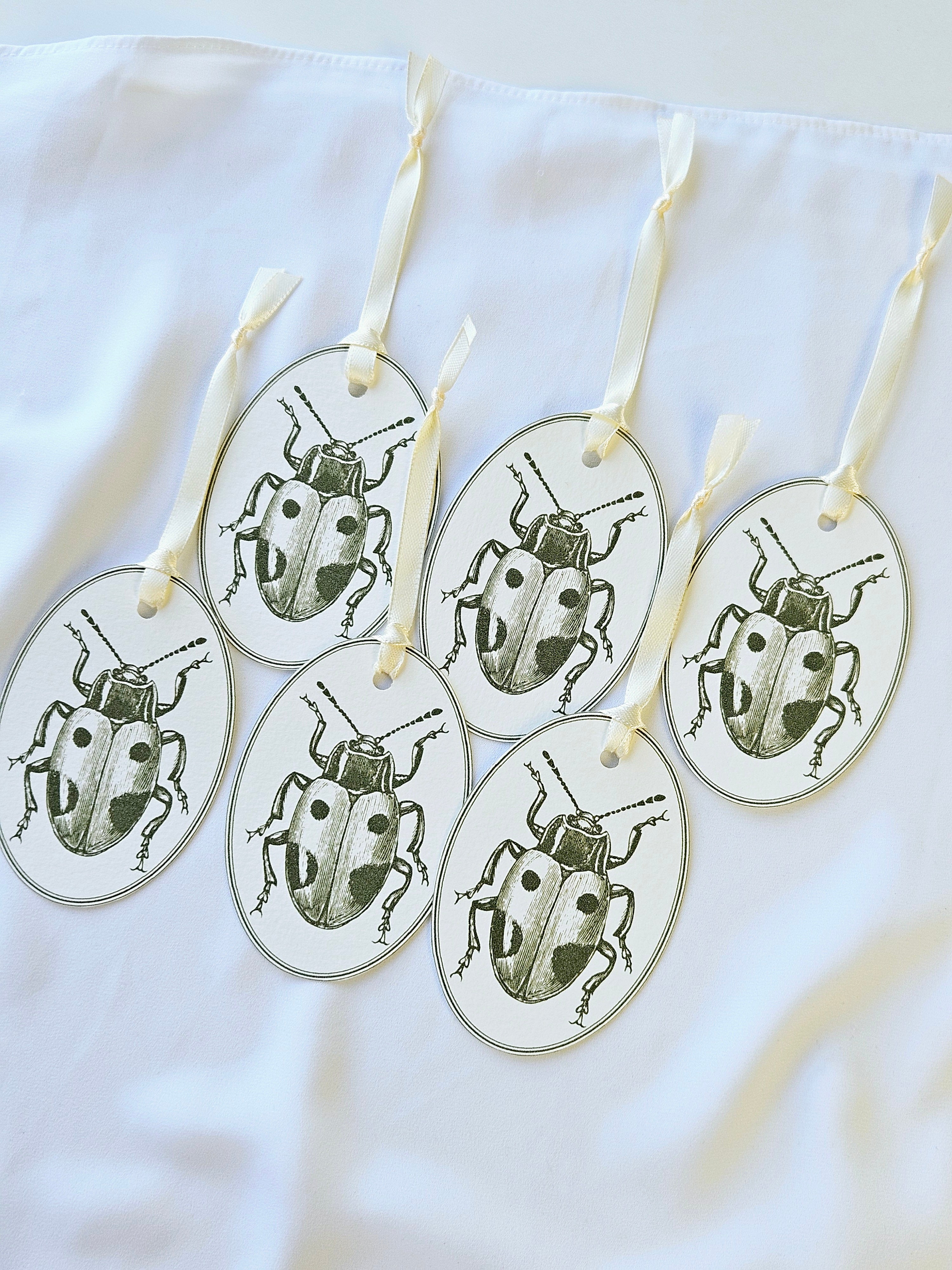 Geschenkanhänger Marienkäfer Olivgrün