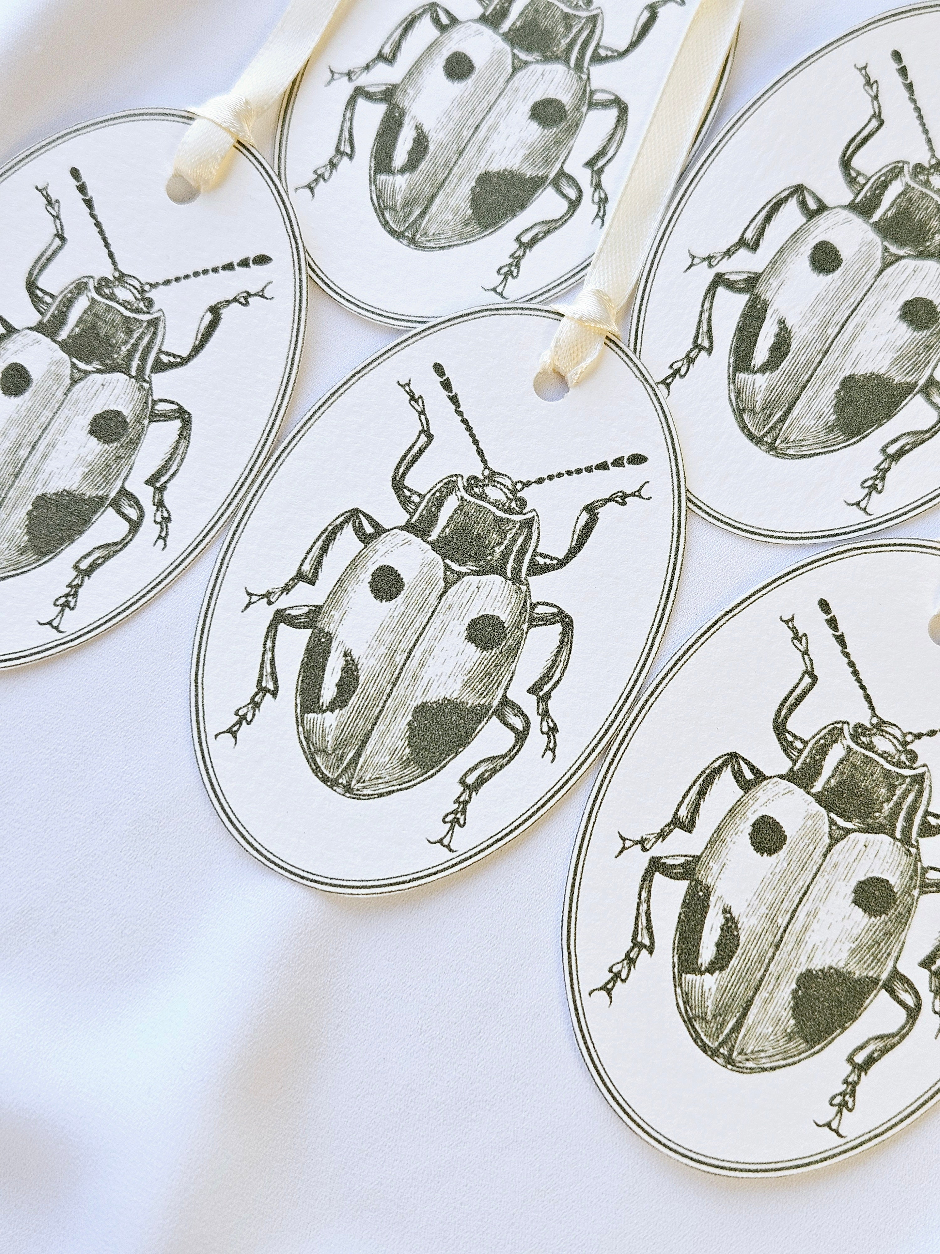 Geschenkanhänger Marienkäfer