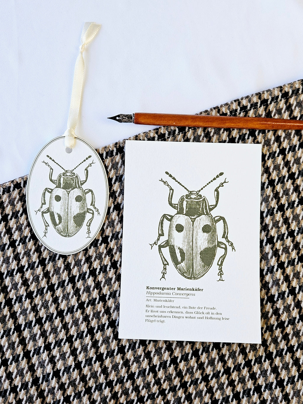 Geschenkanhänger Marienkäfer