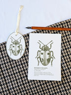 Geschenkanhänger Marienkäfer