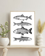 Maritimer Kunstdruck Fische