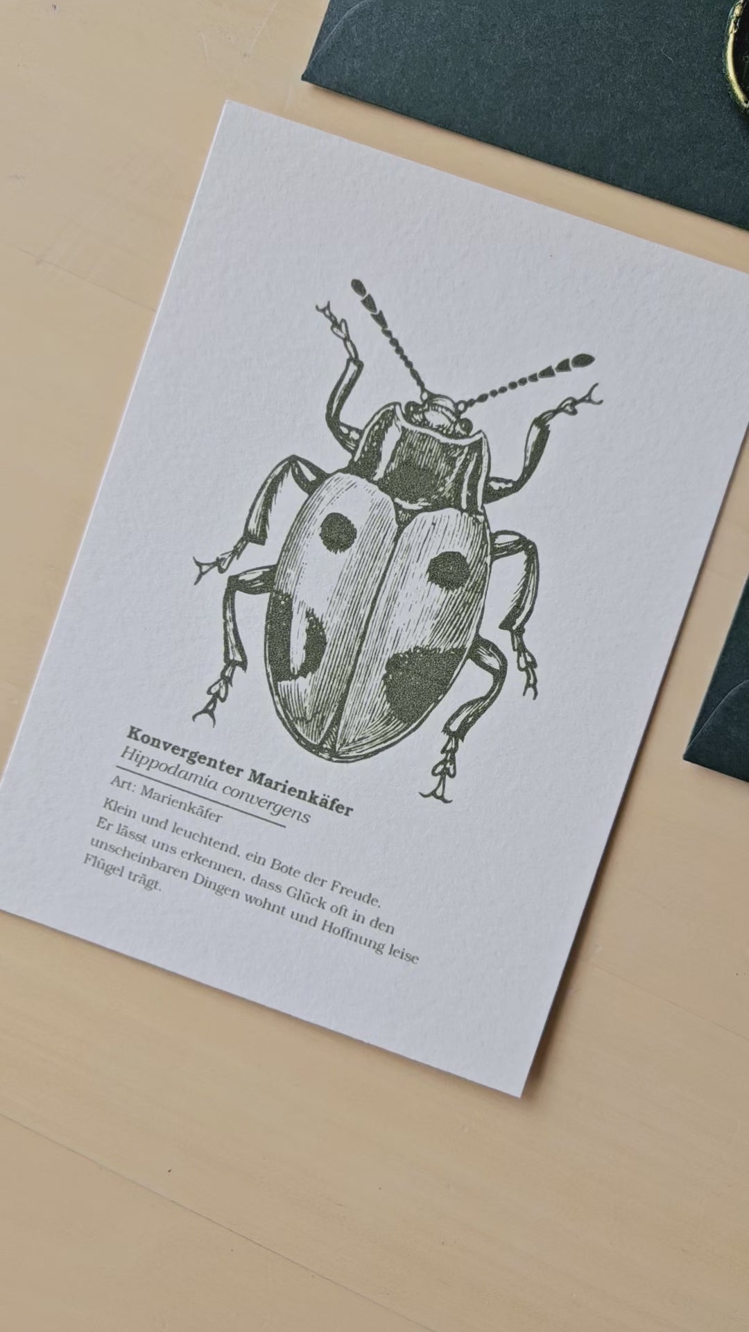 6er Grußkarten Set Von Punkten, Hörnern & Flügeln